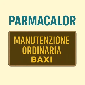 Manutenzione ordinaria e controllo fumi caldaia Baxi a Parma